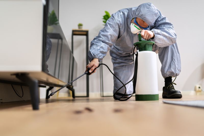 Pest Fumigation Service in Asheville, NC