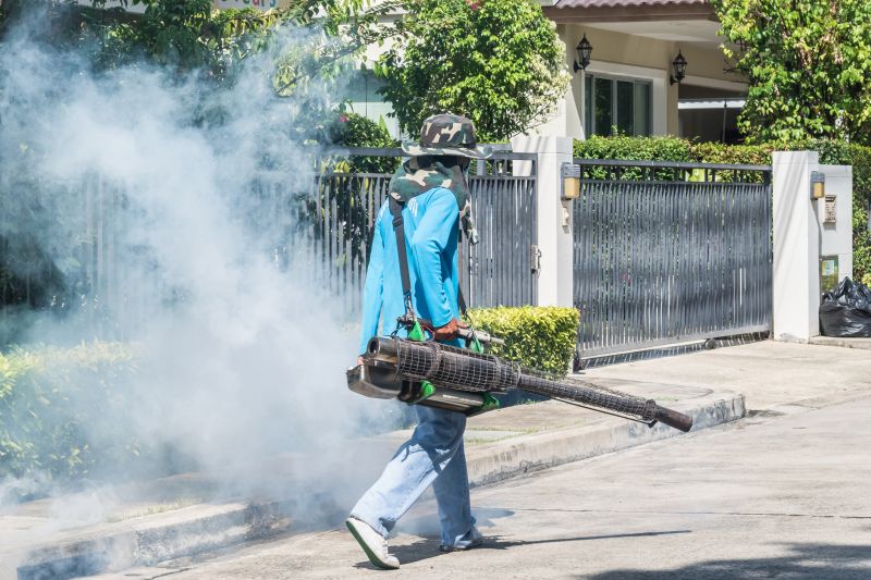 Rat Fumigation Service in Wilmington, DE
