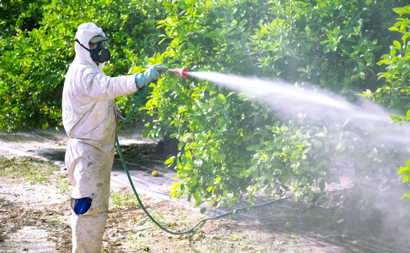 Residential Fumigation in Cumming, GA