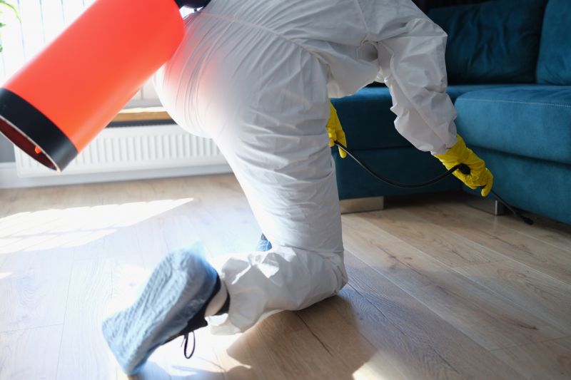Rat Fumigation Service in Fort Myers, FL